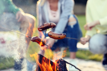 Group of friends preparing sausages on campfire - obrazy, fototapety, plakaty