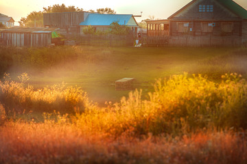 Берег пруда на закате