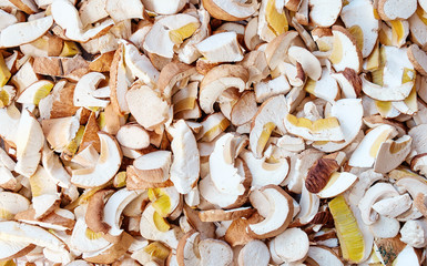Fresh sliced porcini mushrooms texture. Food background.