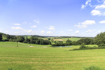 Westliche Wälder bei Markt Wald