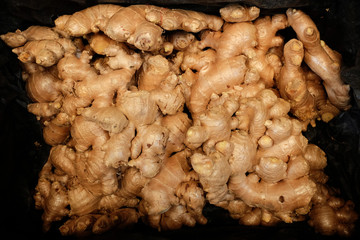 SACKS OF ONION
Onion sacks are stocked tidily.