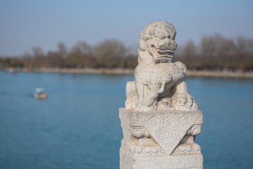 Fototapeta na wymiar Stone lion statue on Seventeen Hole Bridge in Summer Palace