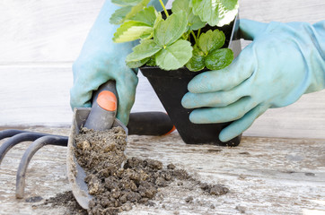 Gardening tools