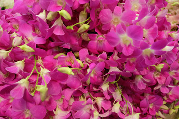 SACKS OF ONION
Onion sacks are stocked tidily.