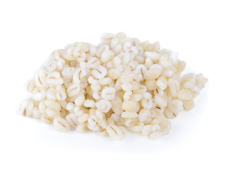 white sorghum isolated on white background.