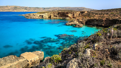 Blaue Lagune auf Malta
