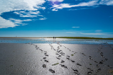 Fußspuren im Wattenmeer © Animaflora PicsStock