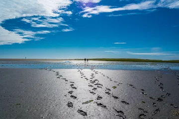 Selbstklebende Fototapeten Fußspuren im Wattenmeer © Animaflora PicsStock
