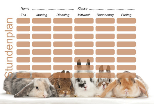 Stundenplan