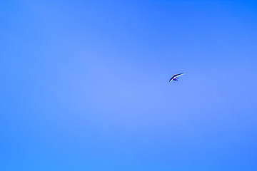 Paragliders flying with paramotor