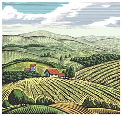 Poster Landelijk landschap in grafische stijl, met de hand getekend en geconverteerd naar vectorillustratie. © Rustic