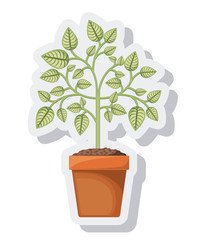 tree plant pot isolated icon vector illustration design