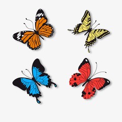 Obraz na płótnie Canvas Realistic butterflies