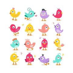 Collection of cute birds