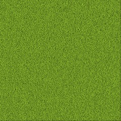 Green grass background - 117723573