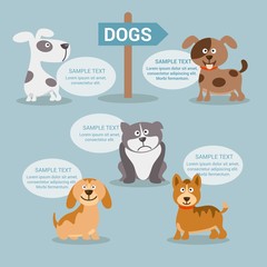Obraz na płótnie Canvas Dogs infographic