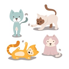Cat breeds