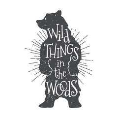 Wild things in the woods