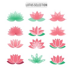 Lotus flowers collection