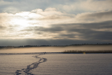 Obraz premium Fußspuren übers Feld, Wintermorgen