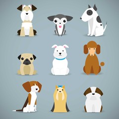 Dog breeds collection
