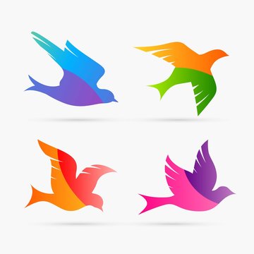 Colorful bird silhouettes