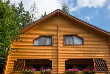 Front of wooden round timber house among trees