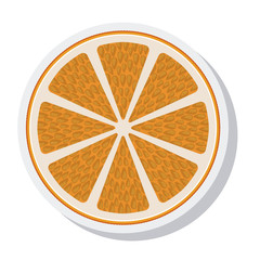 orange citrus fruit isolated icon vector illustration design
