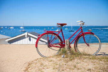 Fototapeta premium Vélo sur la côte de Noirmoutier