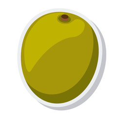 olive oil grains isolated icon vector illustration design