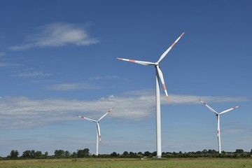 Windräder vor blauem Himmel in Norddeutschland