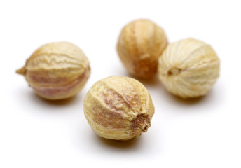 Coriander seeds isolated on white