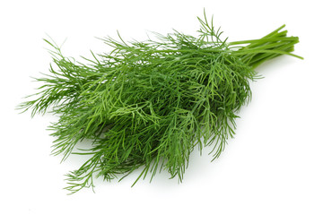 Fresh Dill