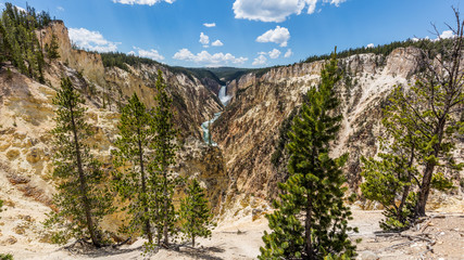 Grand Canyon of the Yellowstone with river at the bottom near the Lower Falls from Artists Point. Yellowstone National Park, Wyoming