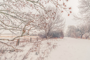 Fence by a road covered with snow