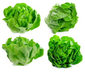 Lettuce Salad Isolated On White