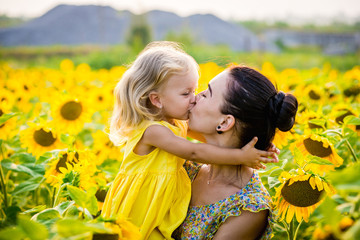 Fototapeta premium Mom and daughter in the field of sunflowers