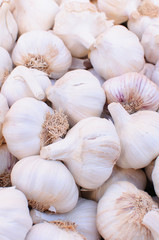 dried garlic
