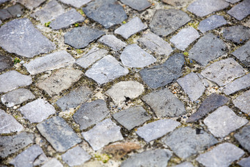 close up of walkway with grey cobblestones