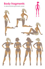 Fragments of body for demonstrating gymnastic poses.Vector silho