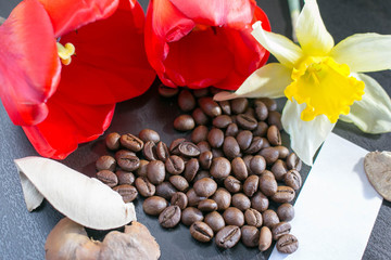 Art Photo, coffee beans beside red flower