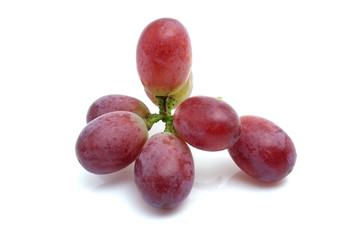 grape isolated on white background