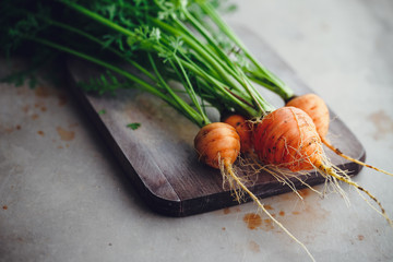 Bunch of small, round carrots (Parisian Heirloom Carrots)