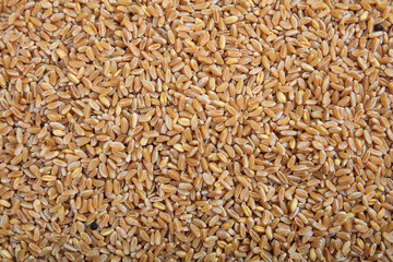 Wheat seeds full background