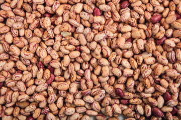 Pinto beans full background