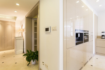 Fancy modern villa with smart house system