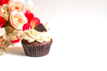 Chocolate cupcake with copy space on white backgroud
