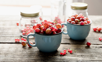 Two blue cup of raw gooseberry. Some glass jars with berry too. Wooden table and backlight.