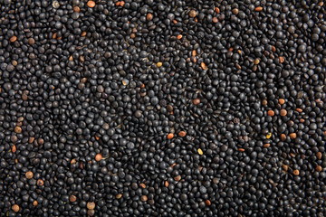 Black lentils full background