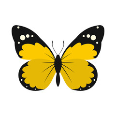 Yellow butterfly icon in flat style on a white background